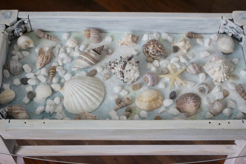Sea shell shadow box table 