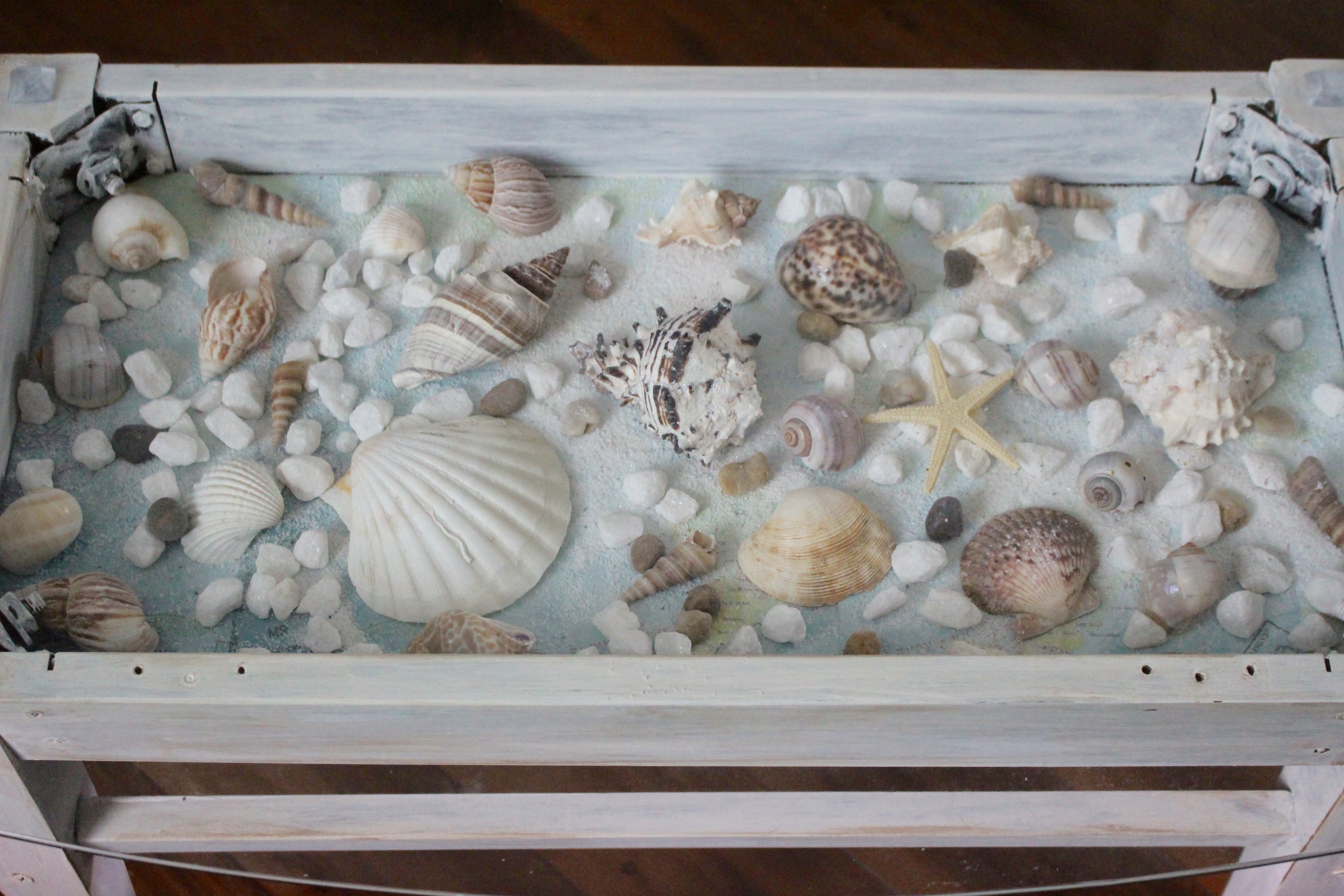 How To Make A Beautiful Sea Shell Shadow Box Table