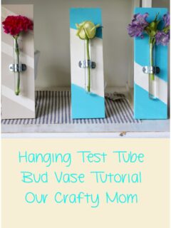 DIY Hanging Test Tube Bud Vase