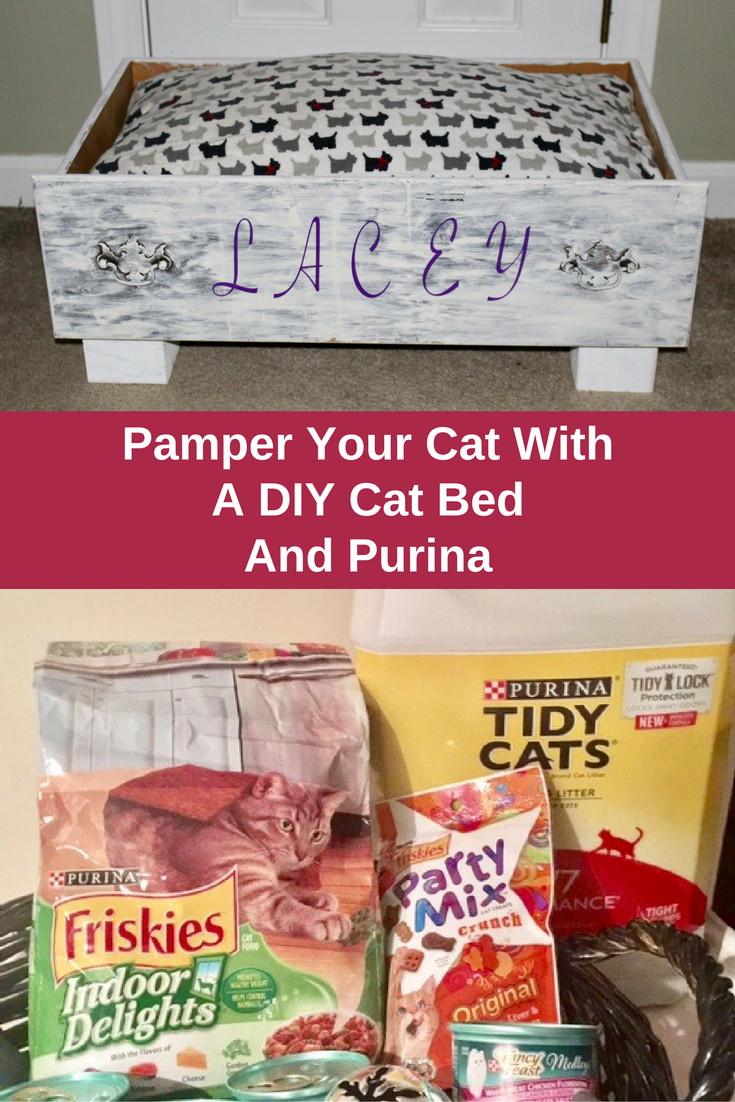 Pamper Your Cat With A DIY Cat Bed And Purina Our Crafty Mom