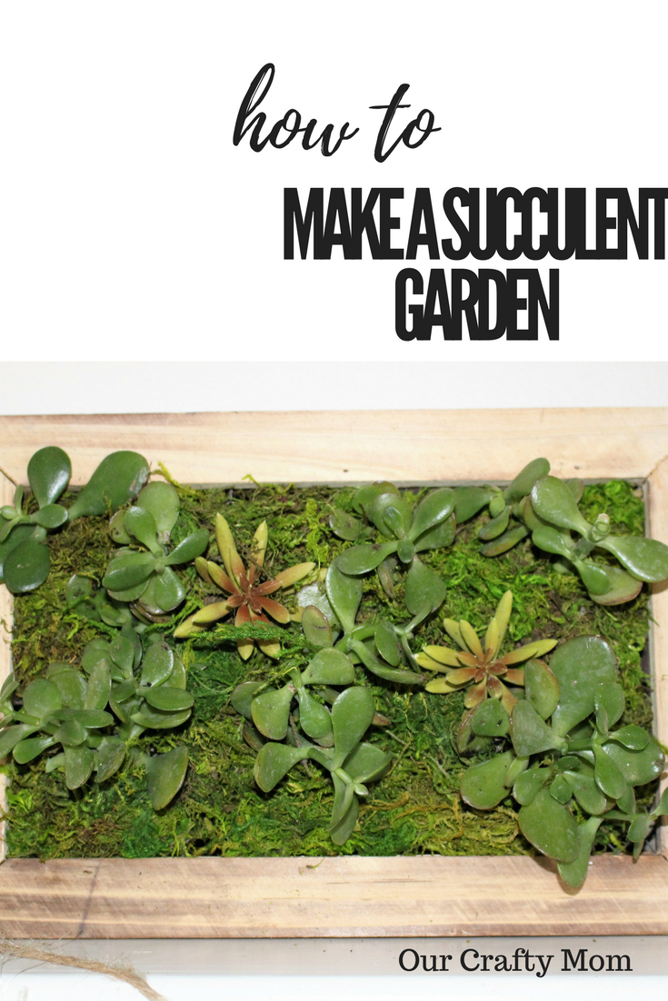 How To Make A Pretty DIY Succulent Garden