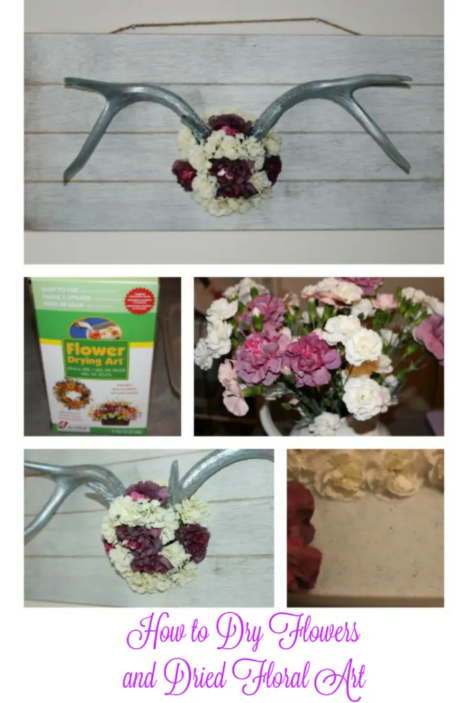 How to Dry Flowersand Dried Floral Art Our Crafty Mom
