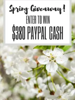 Spring Giveaway $380 PayPal Cash Our Crafty Mom