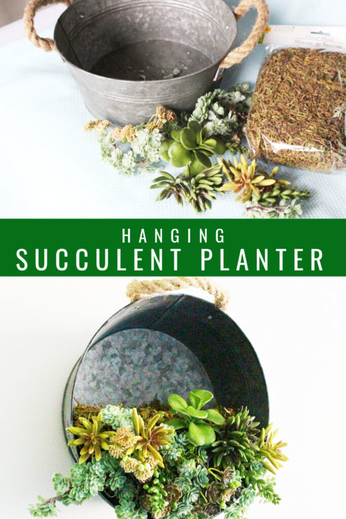 hanging succulent planter pin image