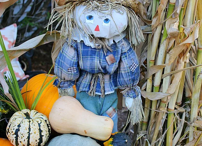 Fall Outdoor Space Blog Hop-Front Entry Decor Our Crafty Mom