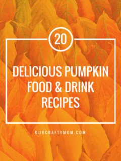 20 Delicious Pumpkin Food & Drink Recipes - Our Crafty Mom