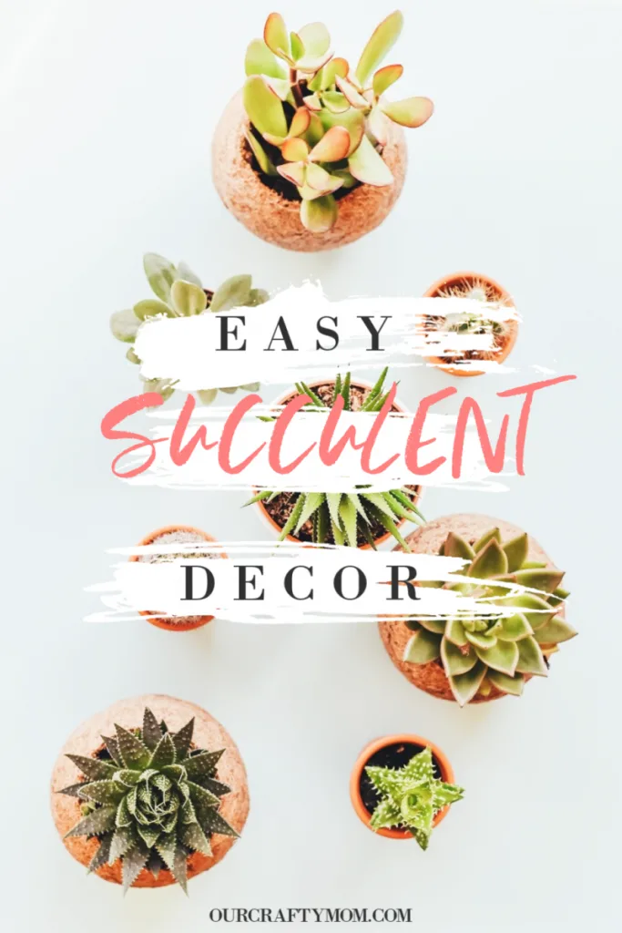 all things succulent pinterest graphic