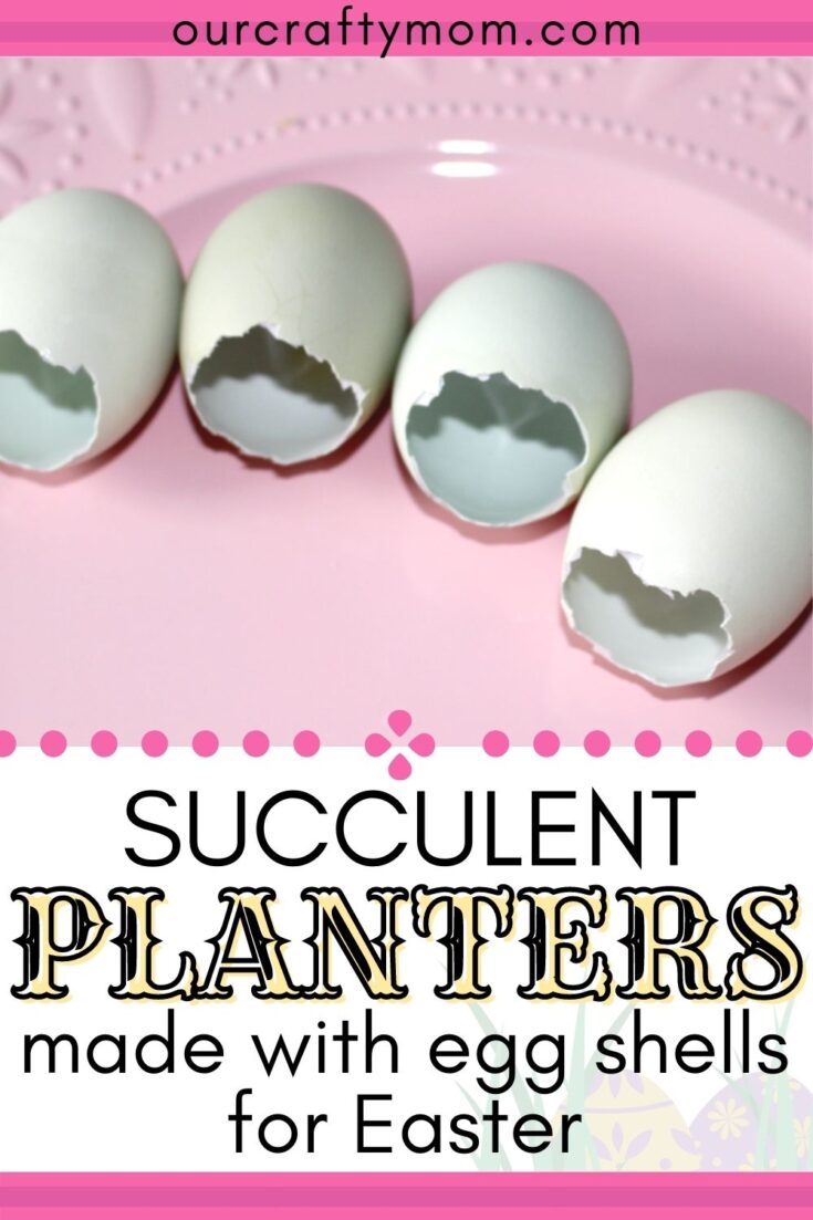 egg shell planters on pink plate