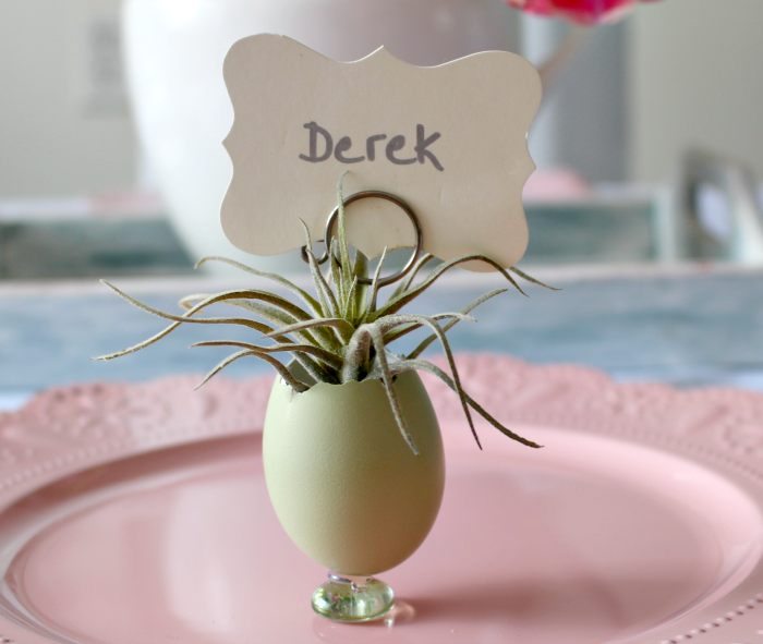 Natural Blue Eggs Used As Planters With Air Plants Our Crafty Mom #airplants #eastereggs #easterplacecards