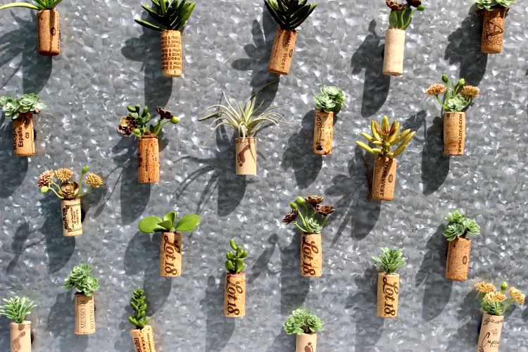 Quick And Easy DIY Wine Cork Succulent Magnets Our Crafty Mom #pinterestchallenge #winecorks #winecorksucculents #ourcraftymom