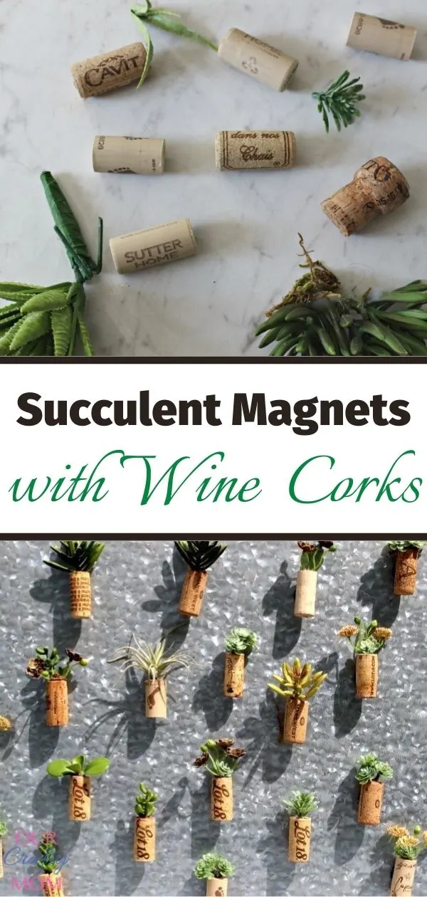 wine cork succulent magnet supplies