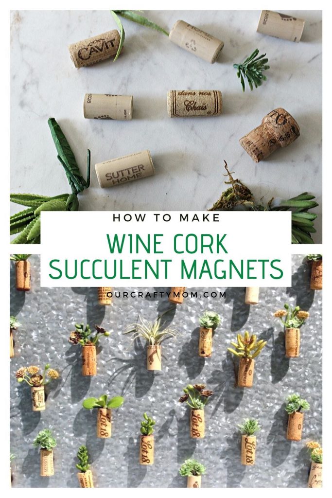 wine cork succulent magnets