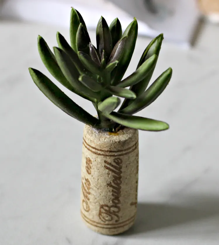 Quick And Easy DIY Wine Cork Succulent Magnets Our Crafty Mom #pinterestchallenge #winecorks #winecorksucculents #ourcraftymom
