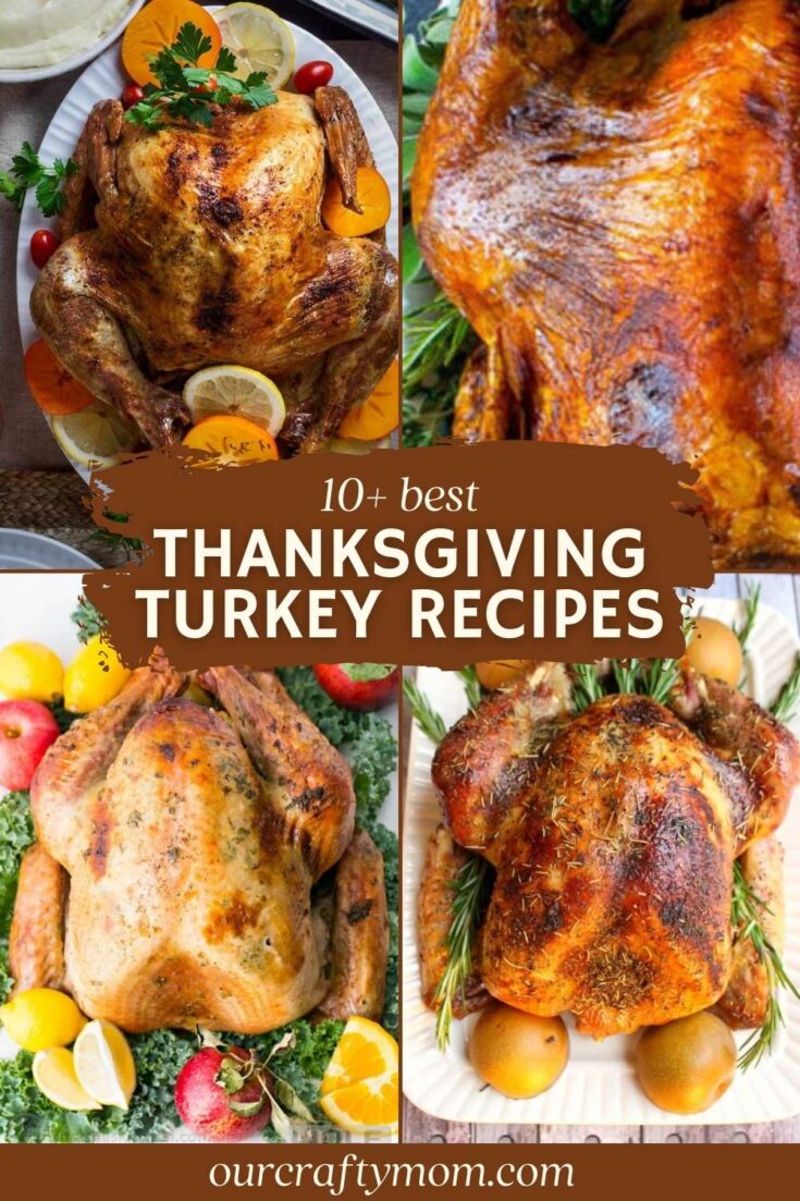 pin collage with text overlay for turkey recipes