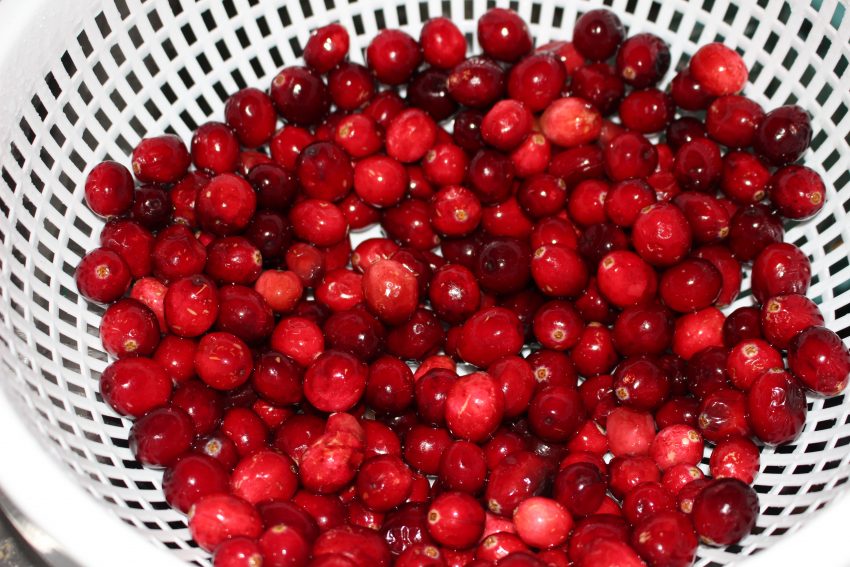 cranberries in syrup