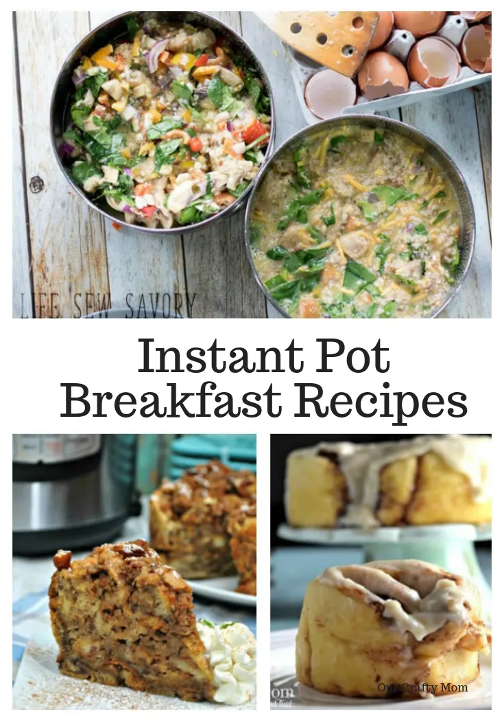12 Quick And Easy Instant Pot Recipes Our Crafty Mom