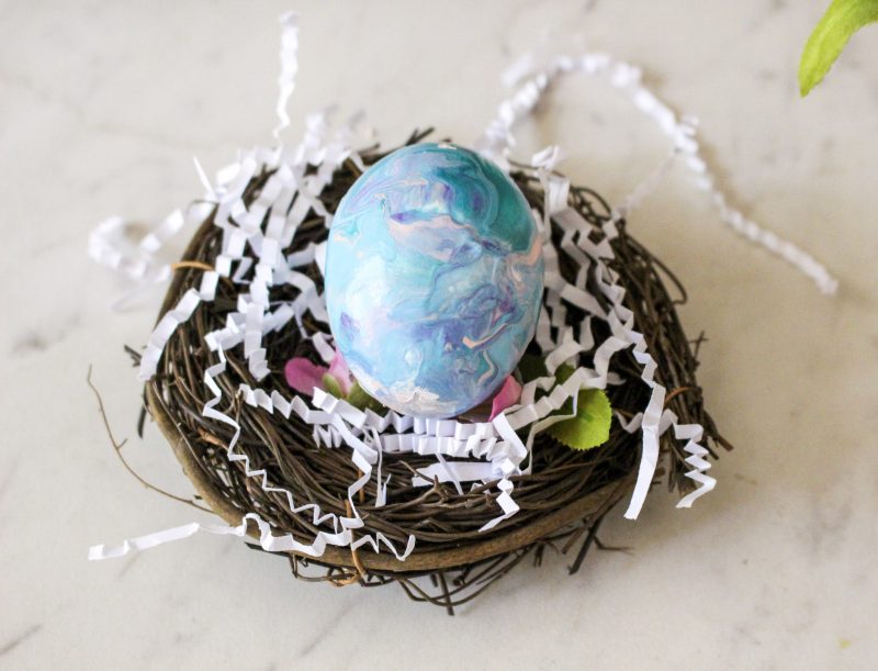 blue egg in nest