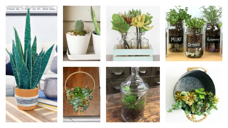 7 diy greenery ideas with planters