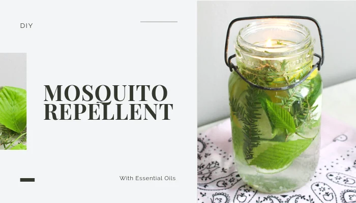 Best Mosquito Repellent Mason Jar Hack With Essential Oils