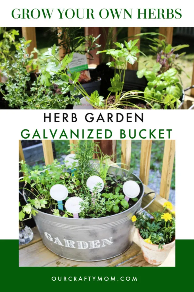 herb garden collage
