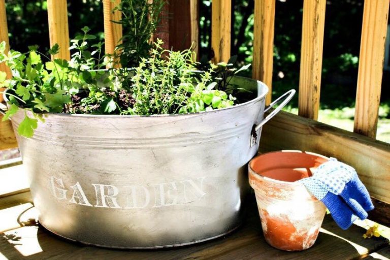 How To Plant An Herb Garden In A Galvanized Bucket