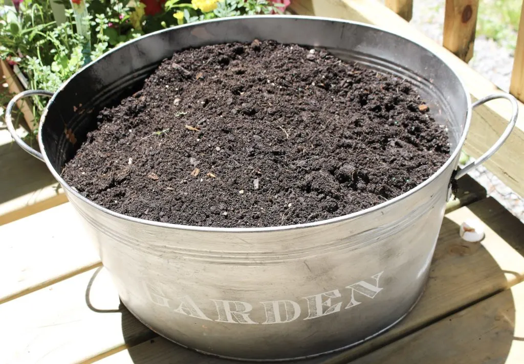 bucket with fresh soil