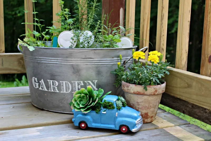 Blue truck with succulents for garden