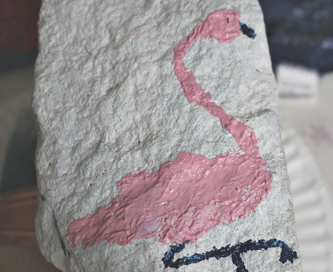 flamingo on rock