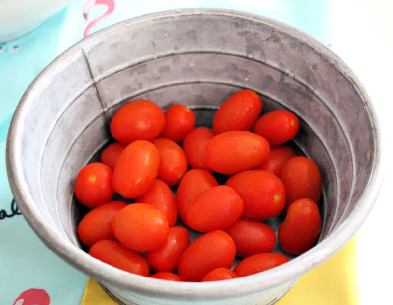 garden tomatoes in container