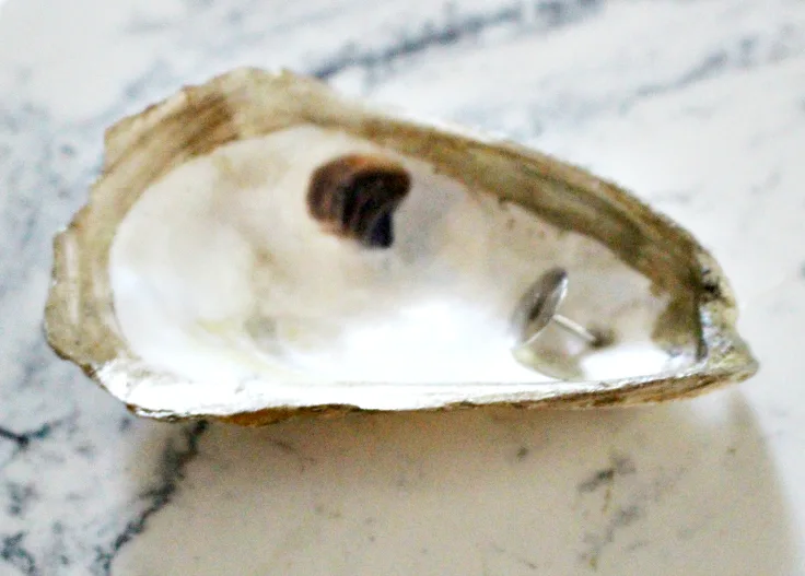 oyster with thumb tack