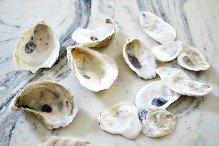 unfinished oyster shells