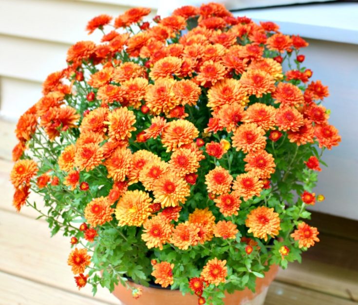 Welcome Fall With These Simple Fall Porch Decorating Ideas