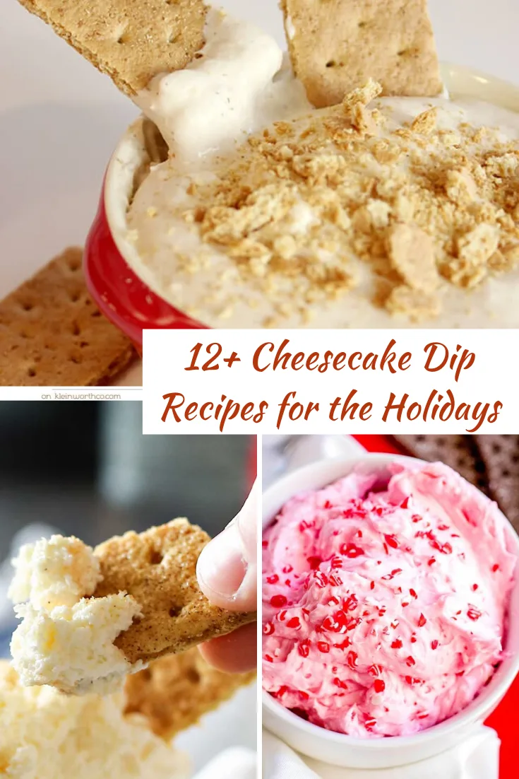 12+ Cheesecake Dip Recipes for the Holidays