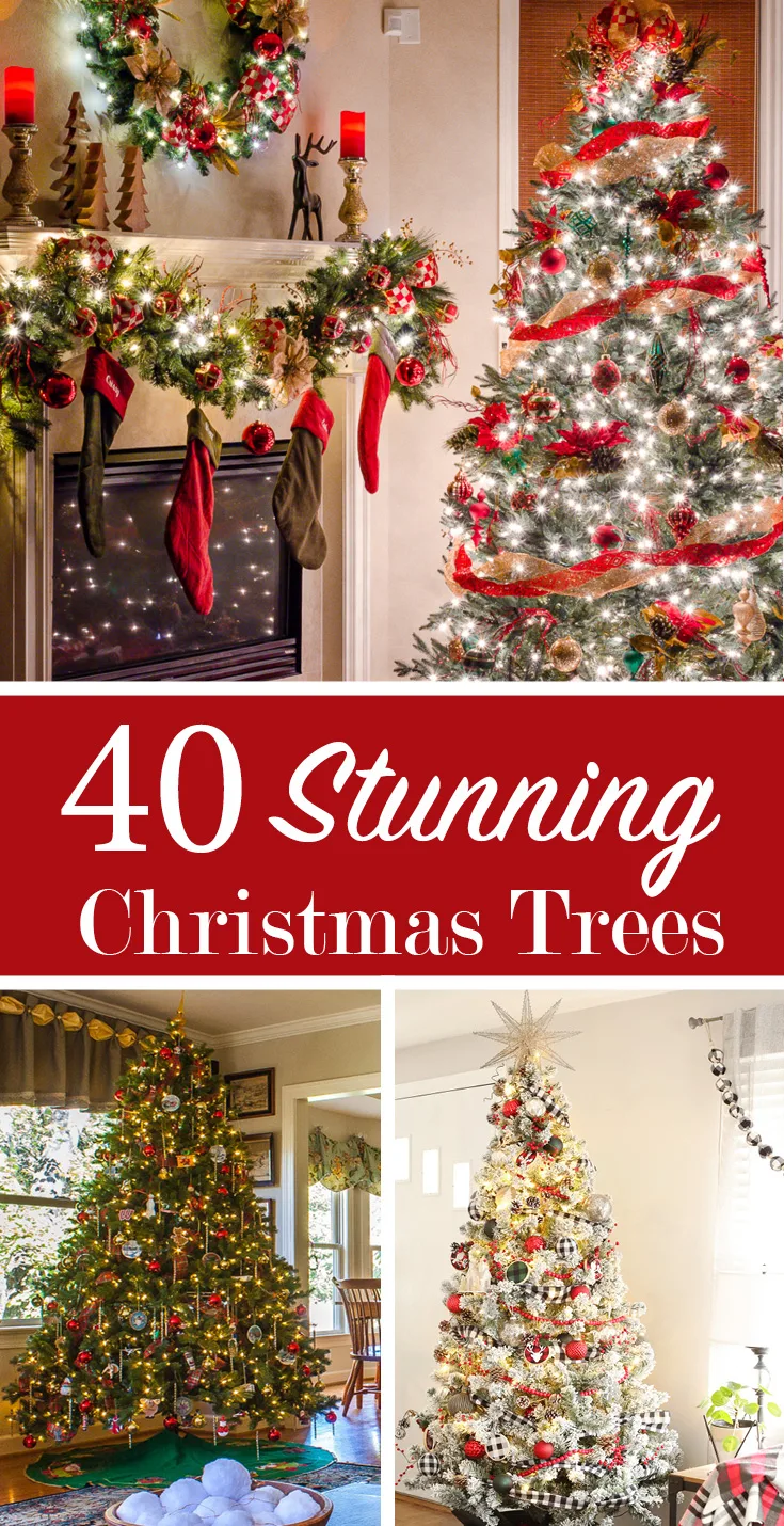 40 christmas trees