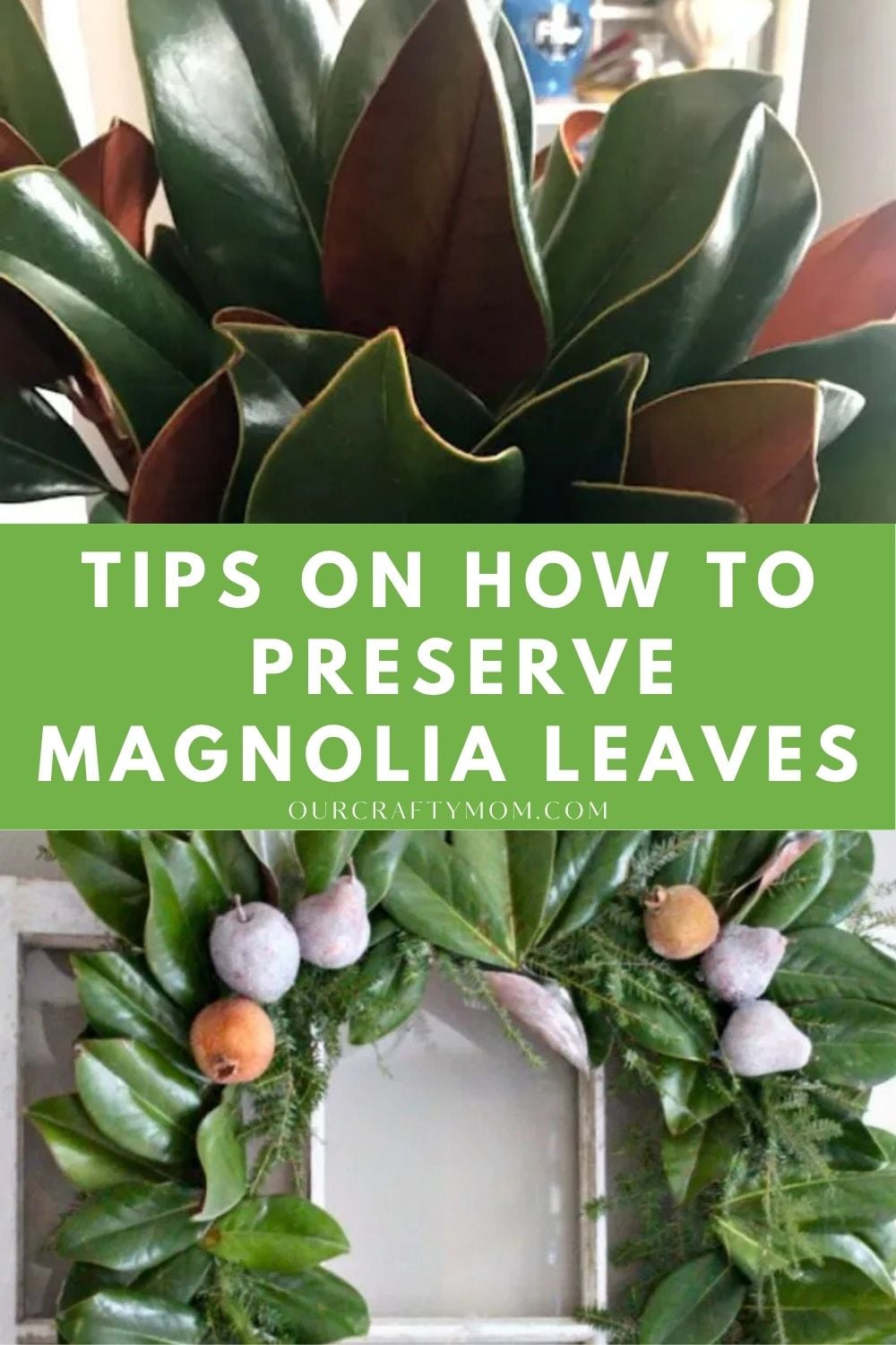 2 image collage preserving magnolia leaves