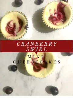 cranberry swirl mini cheesecakes