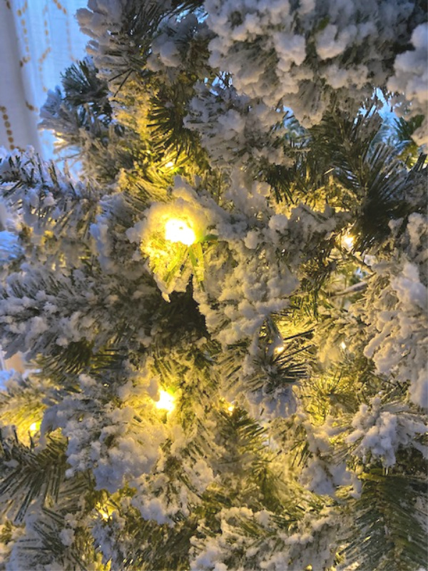 lights on flocked tree