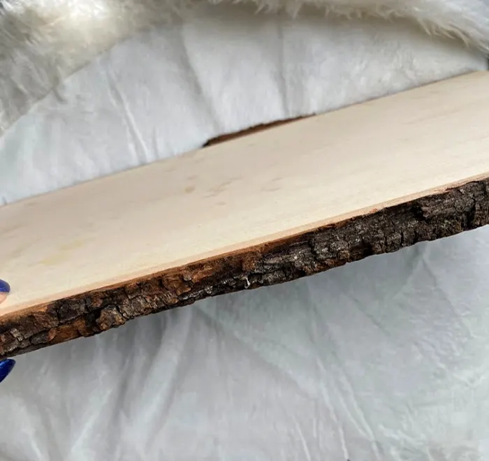 wood slice bark