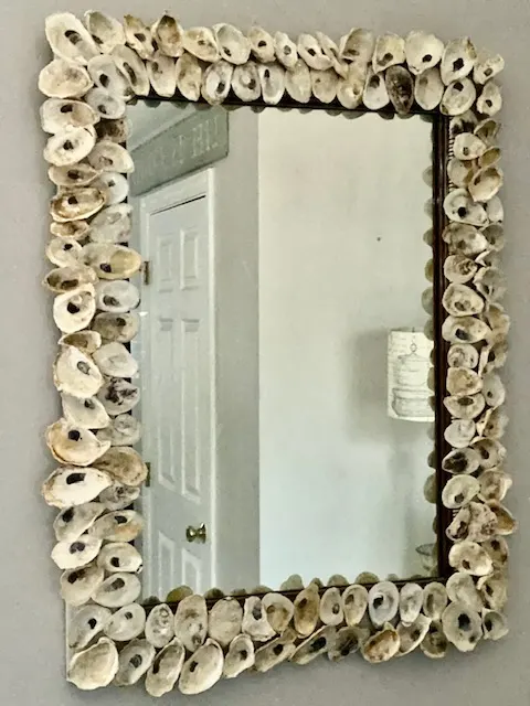oyster mirror hanging
