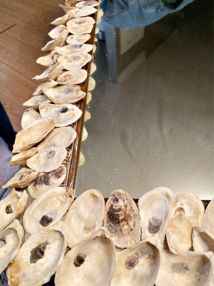 shells on mirror