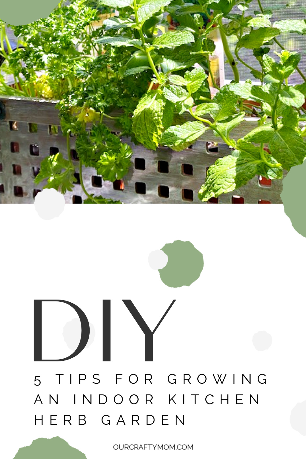5 Simple Tips For Growing A DIY Kitchen Herb Garden