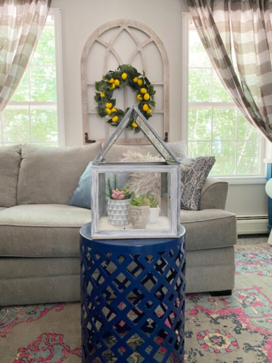 How To Make A Terrarium From Dollar Tree Frames
