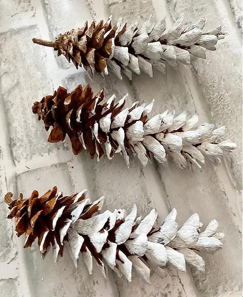 3 painted pine cones