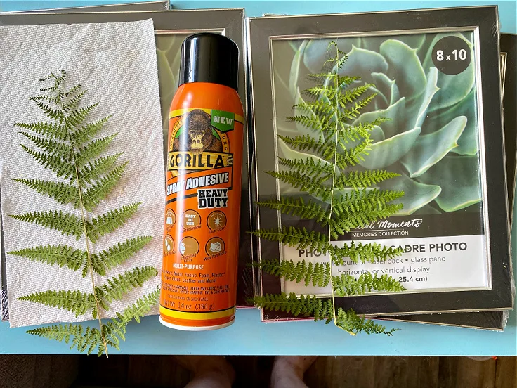 supplies for pressed fern wall art