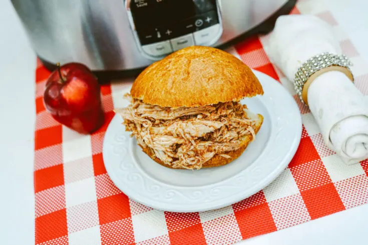 slow cooker pulled pork sandwich on counter