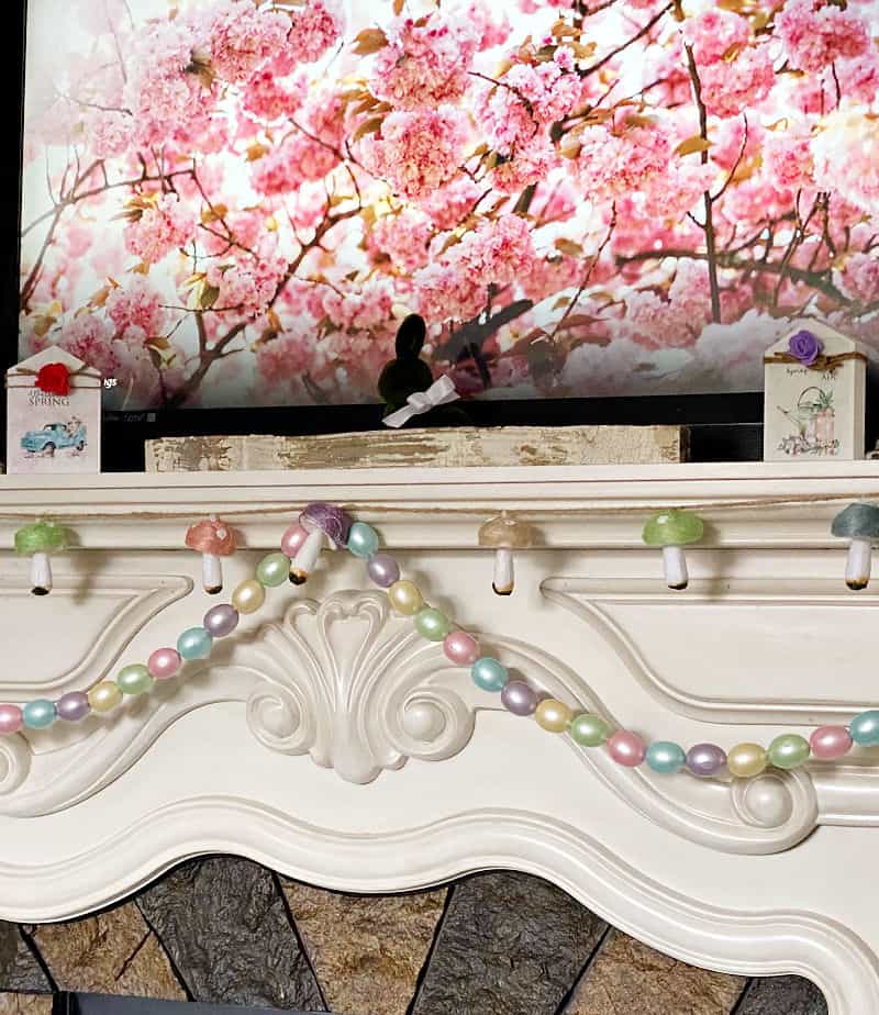 cherry blossoms television screensaver