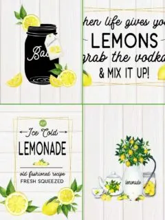 set of 4 lemon printables with text