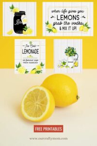 Set of 4 Free Lemon Printables with a Farmhouse Style