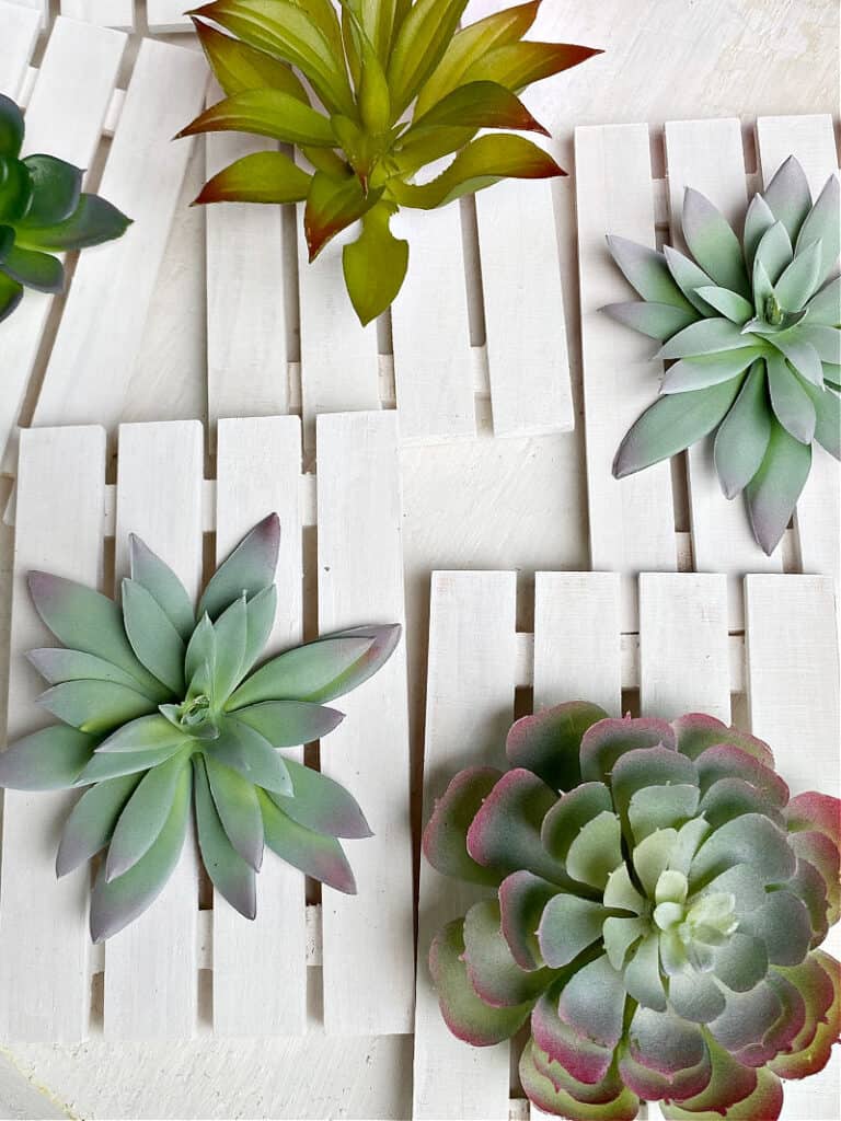 close up of succulents on mini pallets