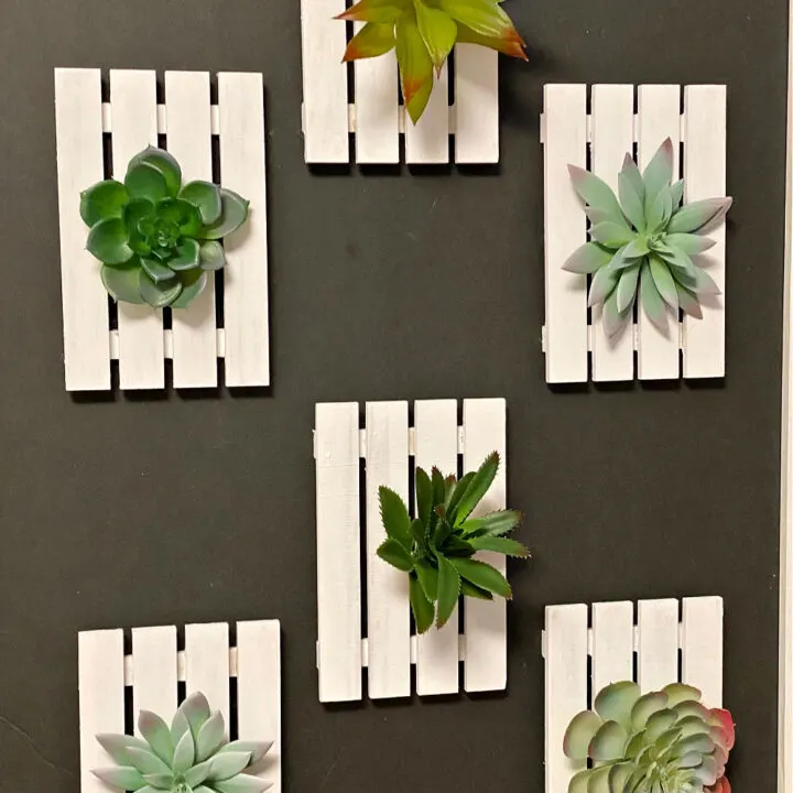 plant wall diy with black background and succulents
